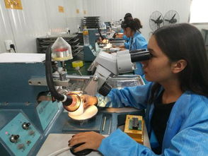 授人以漁 深圳電子產業園助力喀什破解就業難題